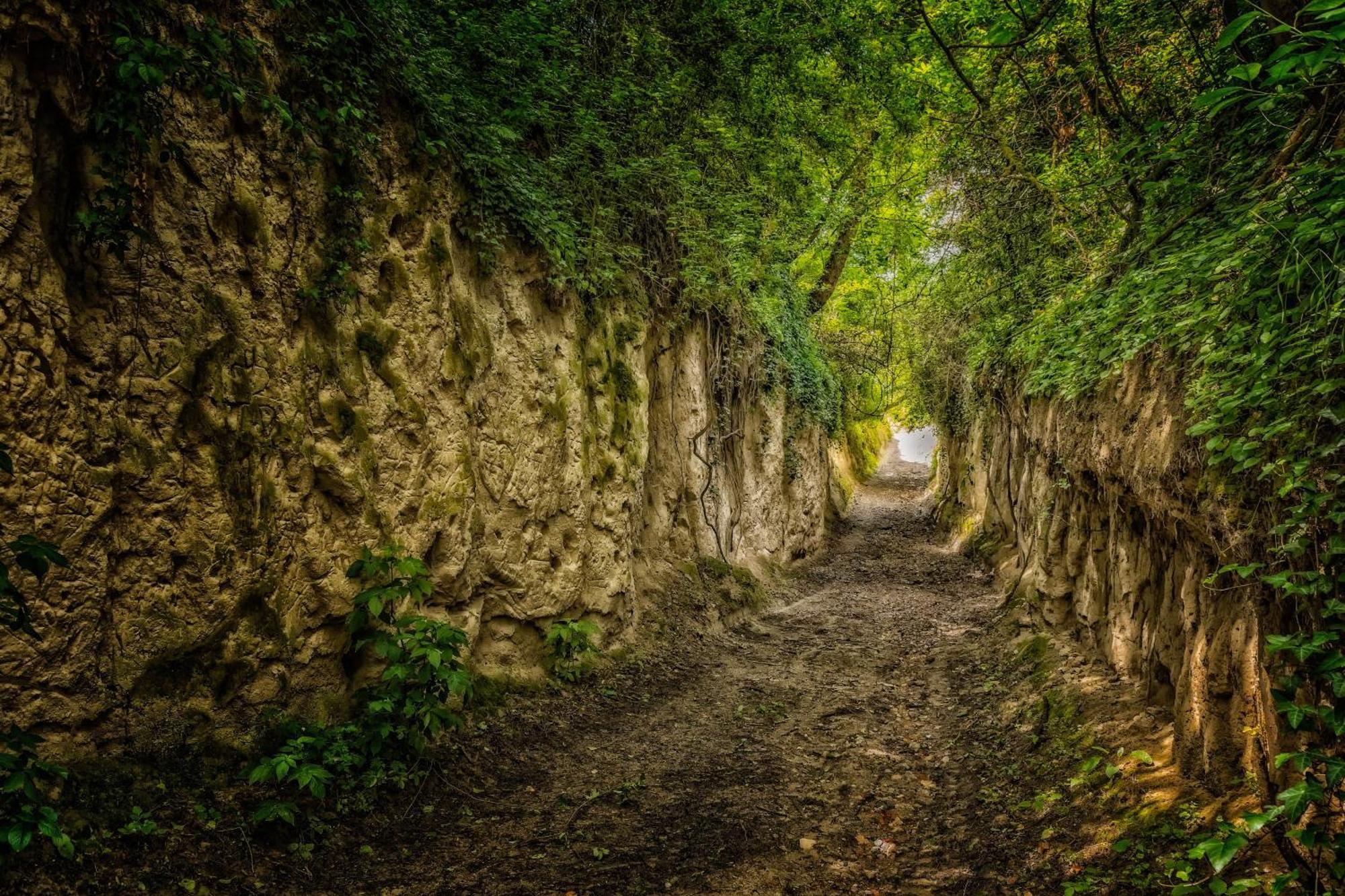 Dreilaendereck Am Kaiserstuhl Wasenweiler Екстер'єр фото