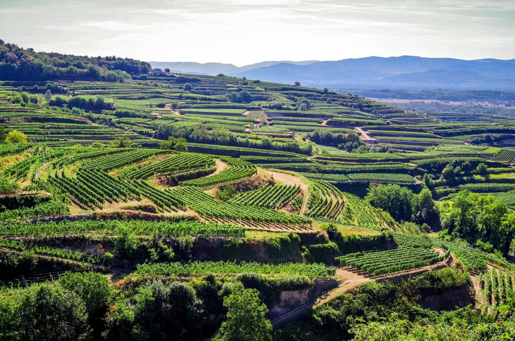 Dreilaendereck Am Kaiserstuhl Wasenweiler Екстер'єр фото